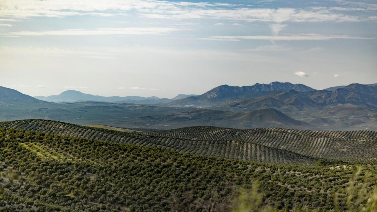 Hostal Rural Pico Aznaitin - Sierra Magina Albanchez de Úbeda Exterior foto
